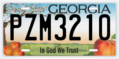GA license plate PZM3210