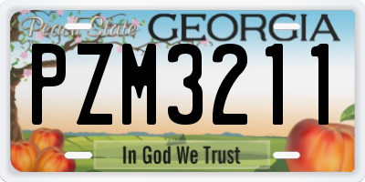 GA license plate PZM3211