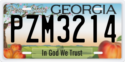 GA license plate PZM3214