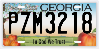GA license plate PZM3218