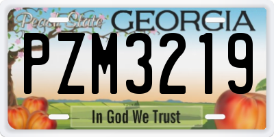 GA license plate PZM3219