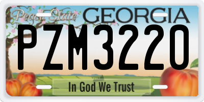 GA license plate PZM3220