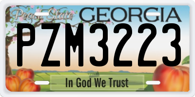 GA license plate PZM3223