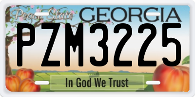 GA license plate PZM3225