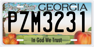 GA license plate PZM3231