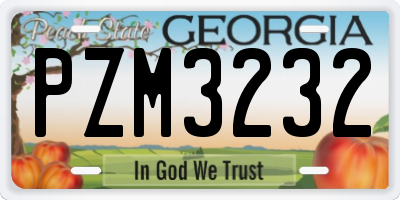 GA license plate PZM3232