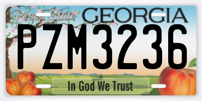 GA license plate PZM3236