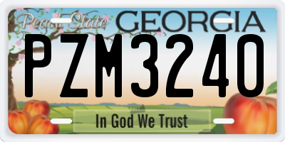 GA license plate PZM3240
