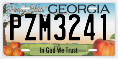 GA license plate PZM3241