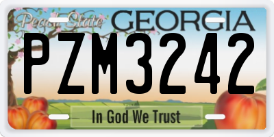 GA license plate PZM3242
