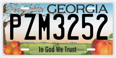 GA license plate PZM3252