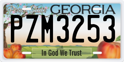GA license plate PZM3253