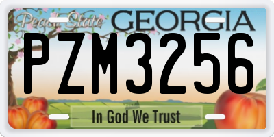GA license plate PZM3256