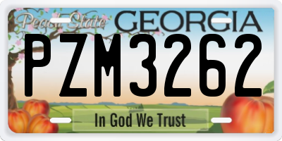 GA license plate PZM3262