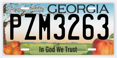 GA license plate PZM3263