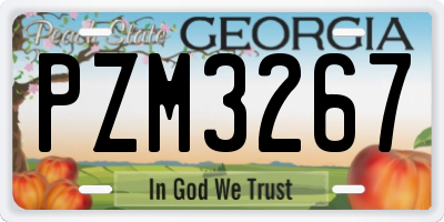 GA license plate PZM3267