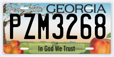 GA license plate PZM3268