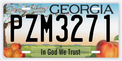 GA license plate PZM3271