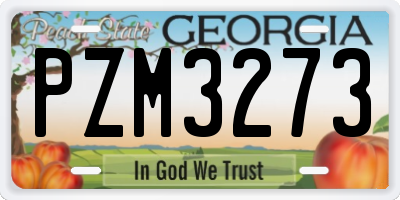 GA license plate PZM3273