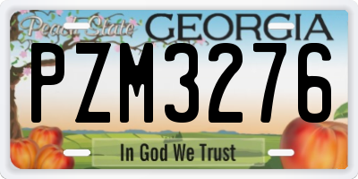 GA license plate PZM3276