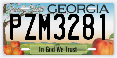 GA license plate PZM3281