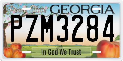 GA license plate PZM3284
