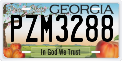 GA license plate PZM3288