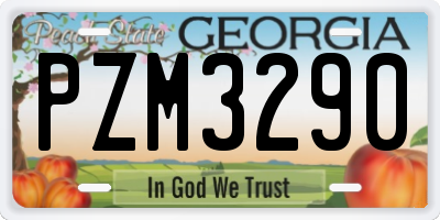 GA license plate PZM3290