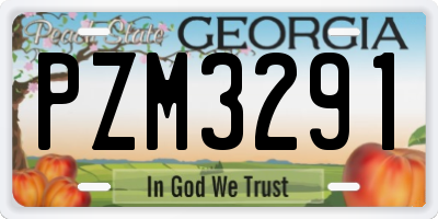 GA license plate PZM3291