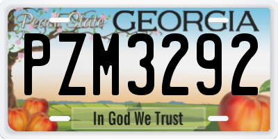 GA license plate PZM3292