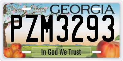 GA license plate PZM3293