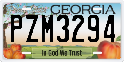 GA license plate PZM3294