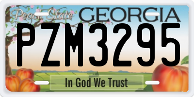 GA license plate PZM3295