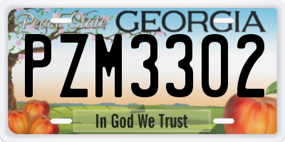GA license plate PZM3302