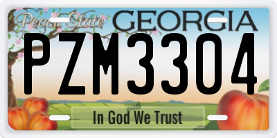 GA license plate PZM3304