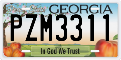 GA license plate PZM3311