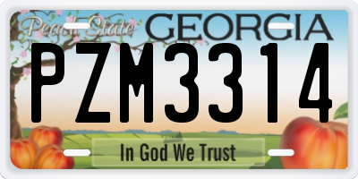 GA license plate PZM3314