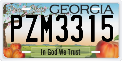 GA license plate PZM3315