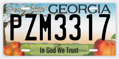 GA license plate PZM3317