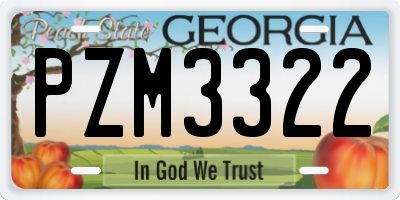 GA license plate PZM3322