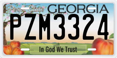 GA license plate PZM3324