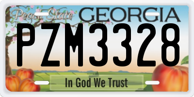 GA license plate PZM3328