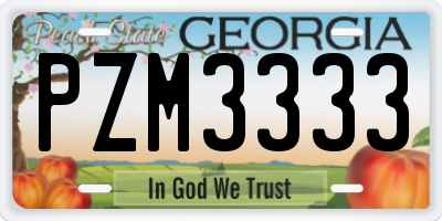 GA license plate PZM3333