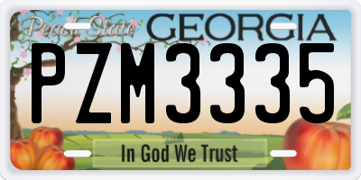 GA license plate PZM3335