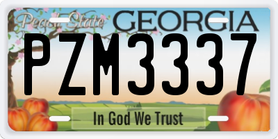 GA license plate PZM3337