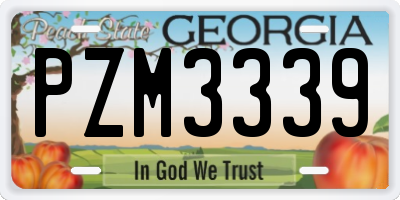 GA license plate PZM3339