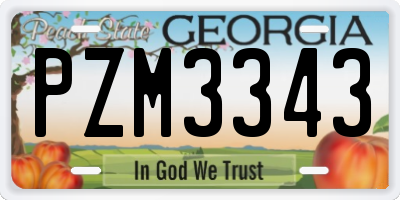 GA license plate PZM3343