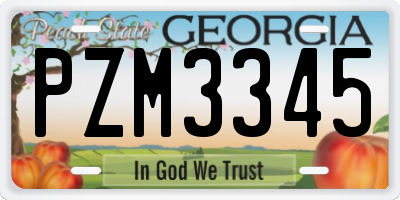 GA license plate PZM3345