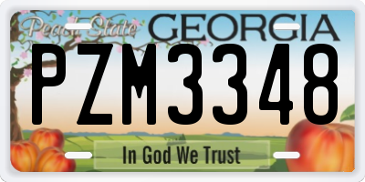 GA license plate PZM3348