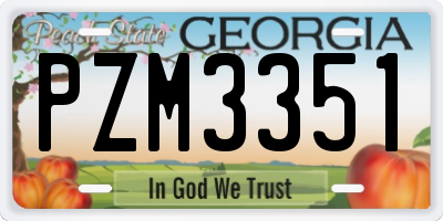 GA license plate PZM3351